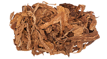 MG 9919 Fermented Burley